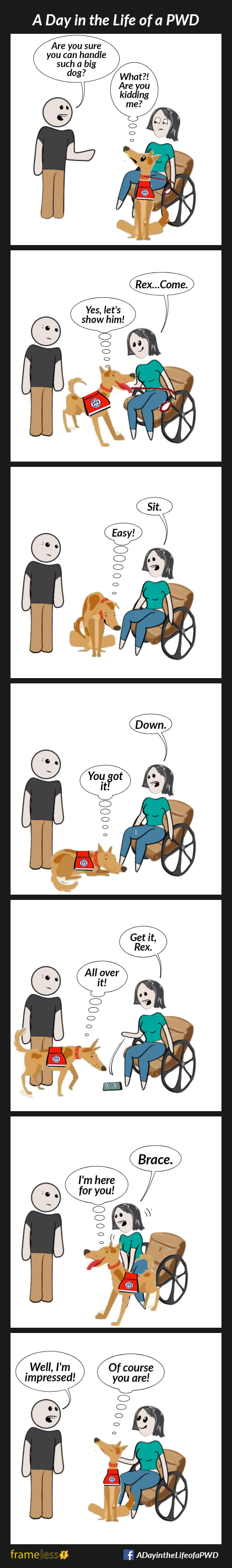 COMIC STRIP 
A Day in the Life of a PWD (Person With a Disability) 

Frame 1:
A woman in a wheelchair is talking to a man. Her service dog, Rex, sits at her feet.
MAN: Are you sure you can handle such a big dog?
REX (thinking): What??! Are you kidding me?

Frame 2:
WOMAN: Rex...Come.
REX (jumping to attention): Yes, let's show him!

Frame 3:
WOMAN: Sit.
REX (sitting): Easy!

Frame 4:
WOMAN: Down.
REX (laying down): You got it!

Frame 5:
WOMAN (dropping her phone on the ground): Get it, Rex.
REX (retrieving the phone): All over it!

Frame 6:
WOMAN: Brace.
Rex stands next to her, so she can hold onto him as she stands up.
REX: I'm here for you!

Frame 7:
MAN: Well, I'm impressed!
REX (proudly): Of course you are!
